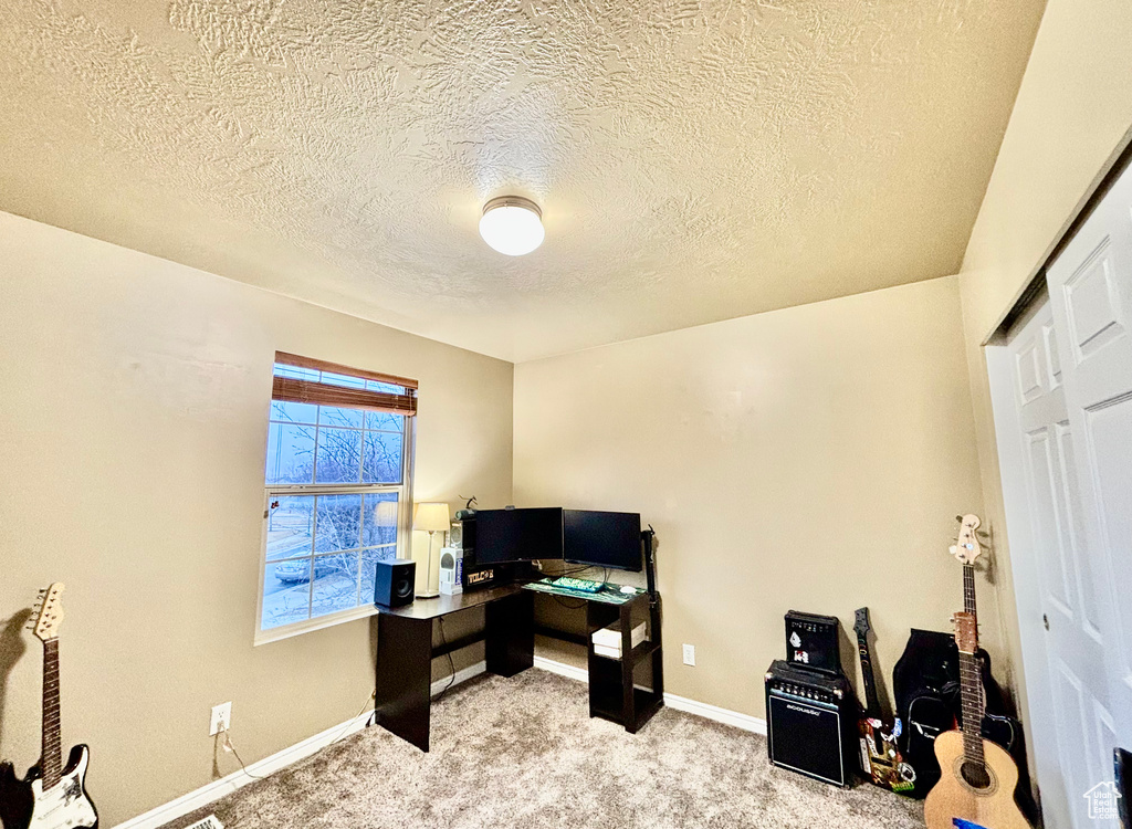 Home office featuring light colored carpet, baseboards, and a textured ceiling