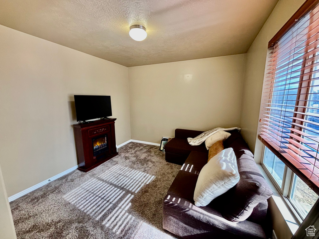 Living area with carpet floors, a textured ceiling, a warm lit fireplace, and baseboards