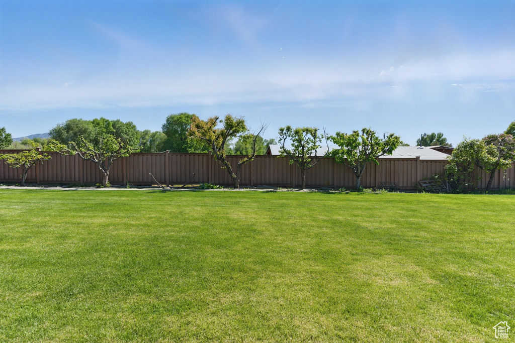 View of green lawn with an outbuilding