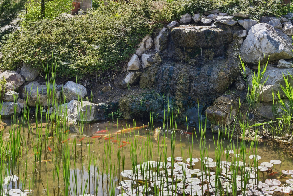 Exterior view of a small pond
