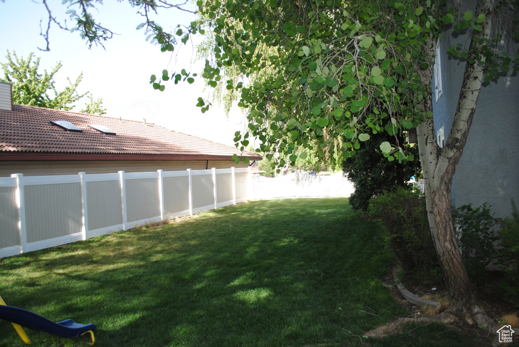 View of yard