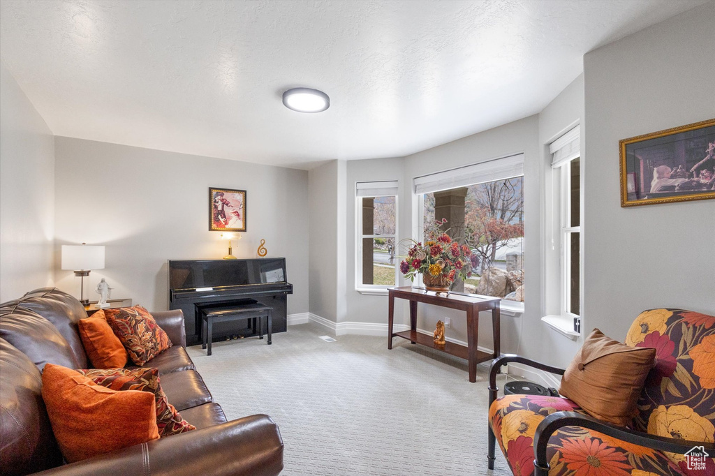 Living area with light colored carpet and baseboards