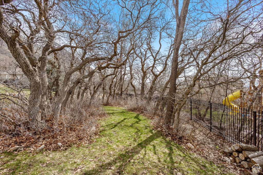 View of undeveloped land