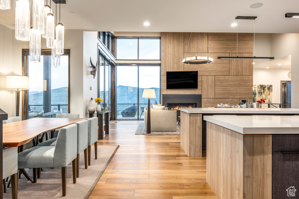 Kitchen with modern cabinets, light wood-style flooring, a wall of windows, a large fireplace, and open floor plan