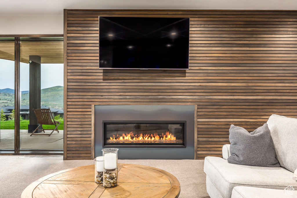 Detailed view of a glass covered fireplace, wooden walls, and carpet flooring