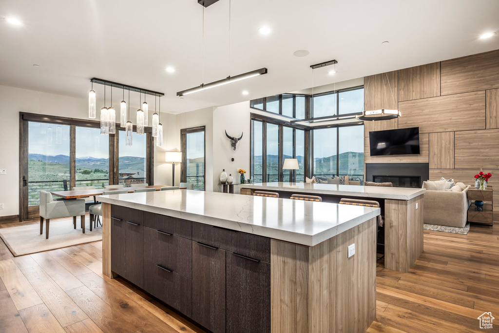 Kitchen with a spacious island, modern cabinets, open floor plan, light wood finished floors, and recessed lighting