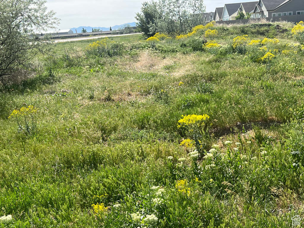 2700 N 600 W Pleasant View, UT 84414