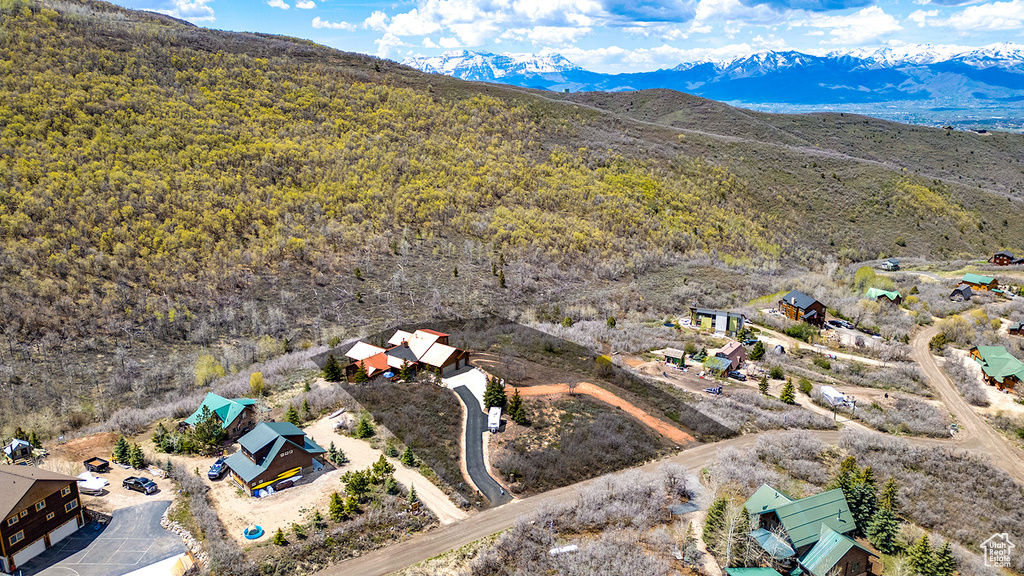 Bird\'s eye view of a mountain backdrop and a heavily wooded area