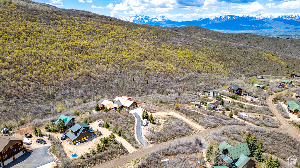Drone / aerial view of a mountainous background and a forest