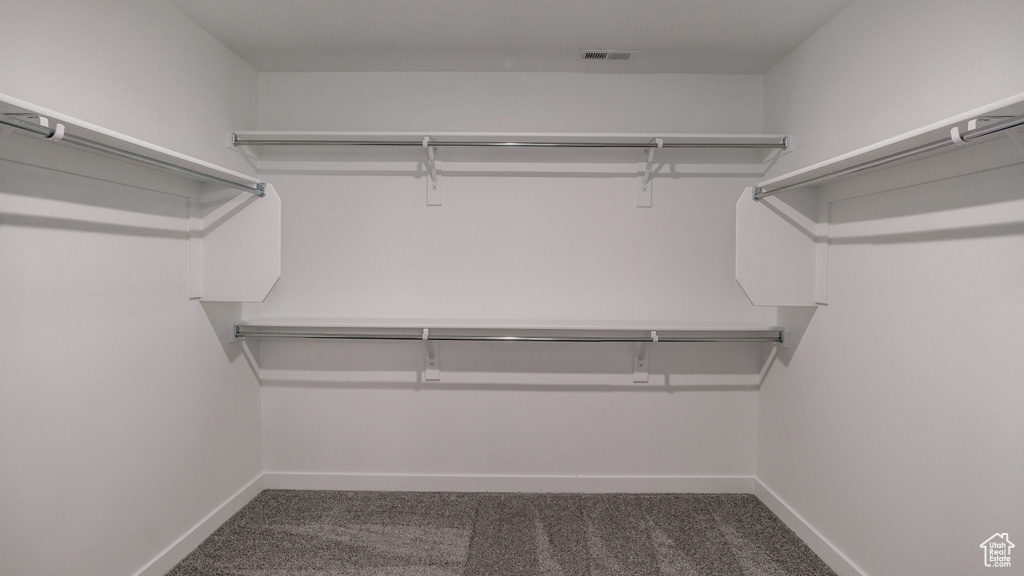 Walk in closet with carpet