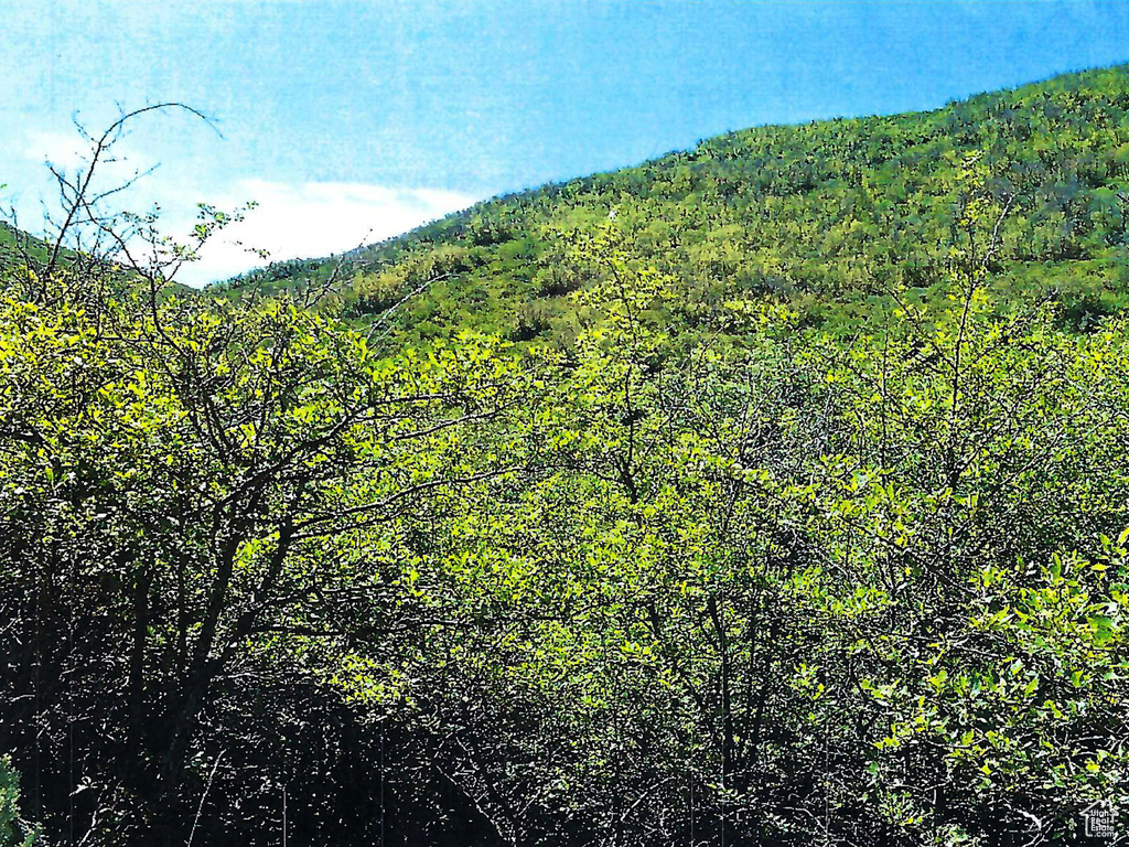 Mountain view