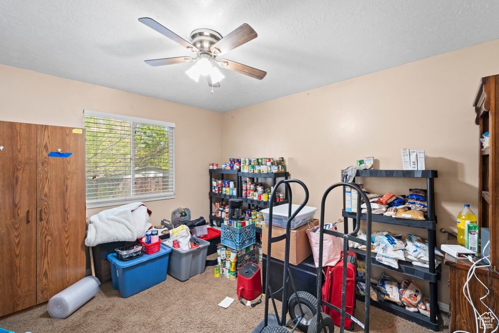 Storage room featuring ceiling fan