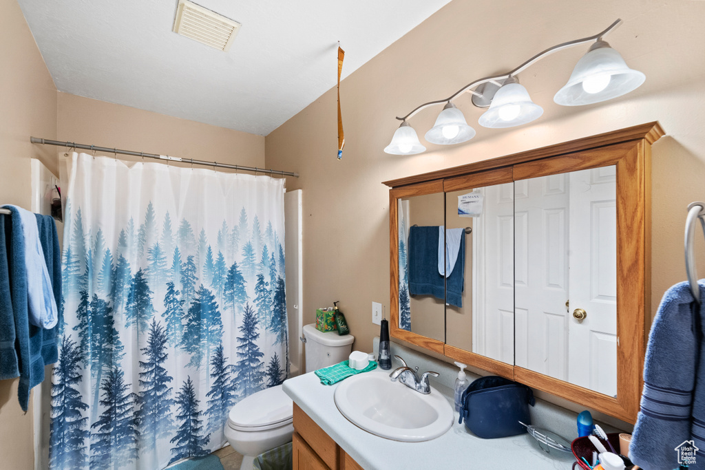 Full bathroom featuring toilet, vanity, and a shower with shower curtain