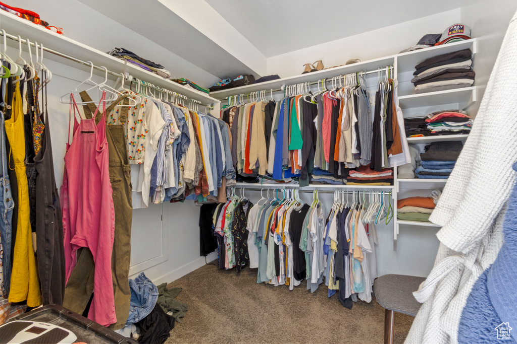 Spacious closet with carpet flooring
