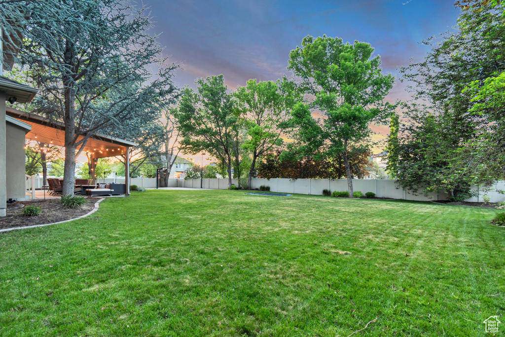 View of yard with a patio area