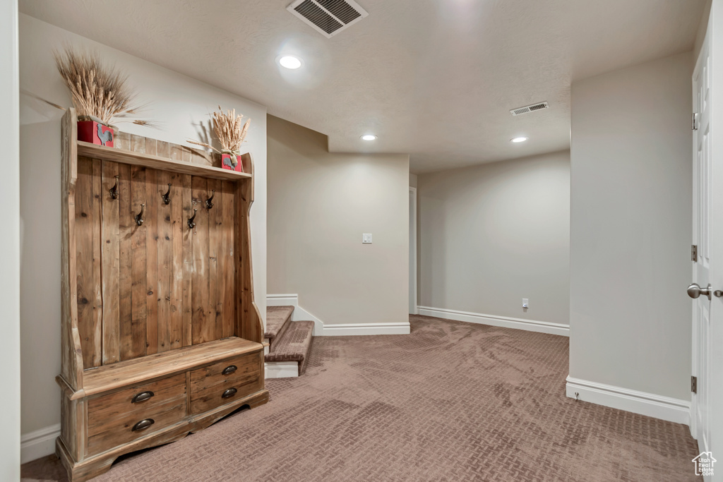 Mudroom with carpet flooring, baseboards, and recessed lighting
