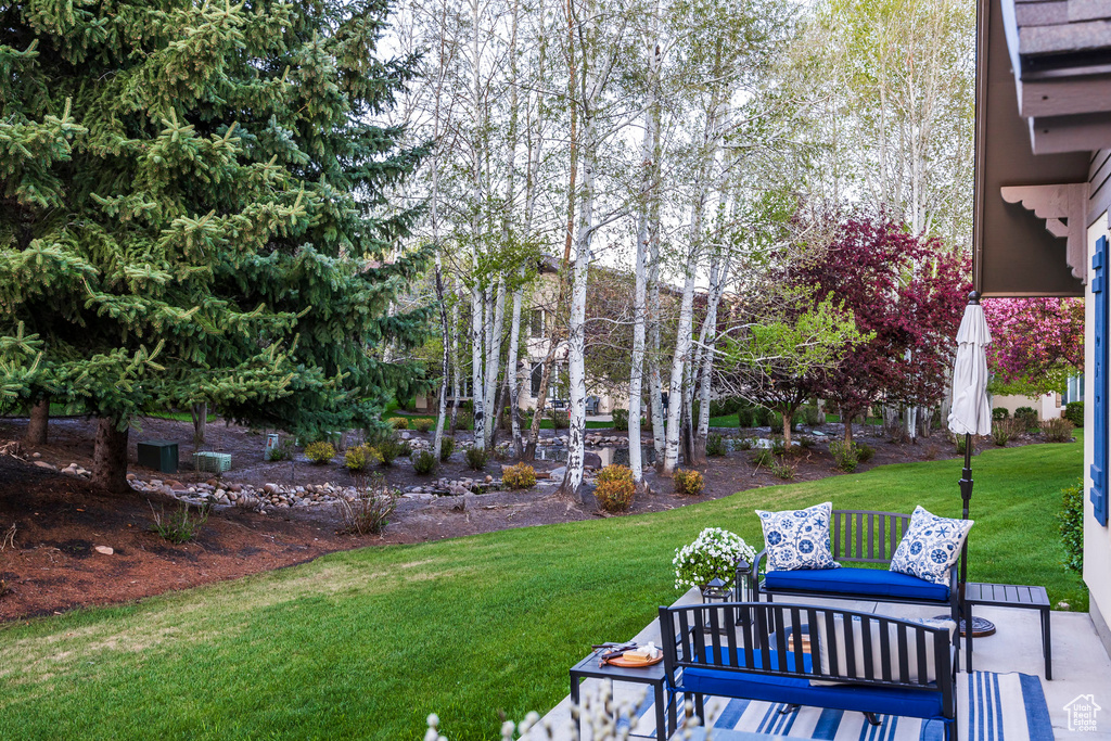 View of green lawn featuring outdoor lounge area