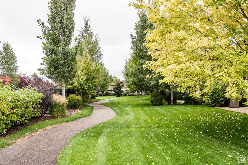 View of home's community with a yard