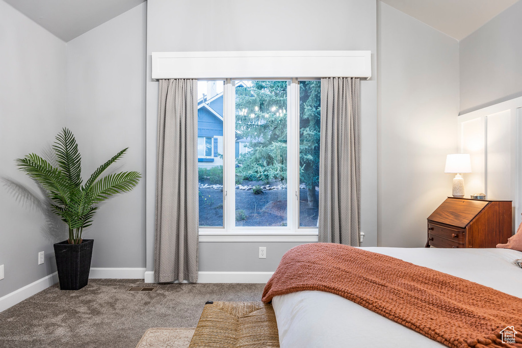Bedroom with vaulted ceiling, carpet flooring, multiple windows, and baseboards