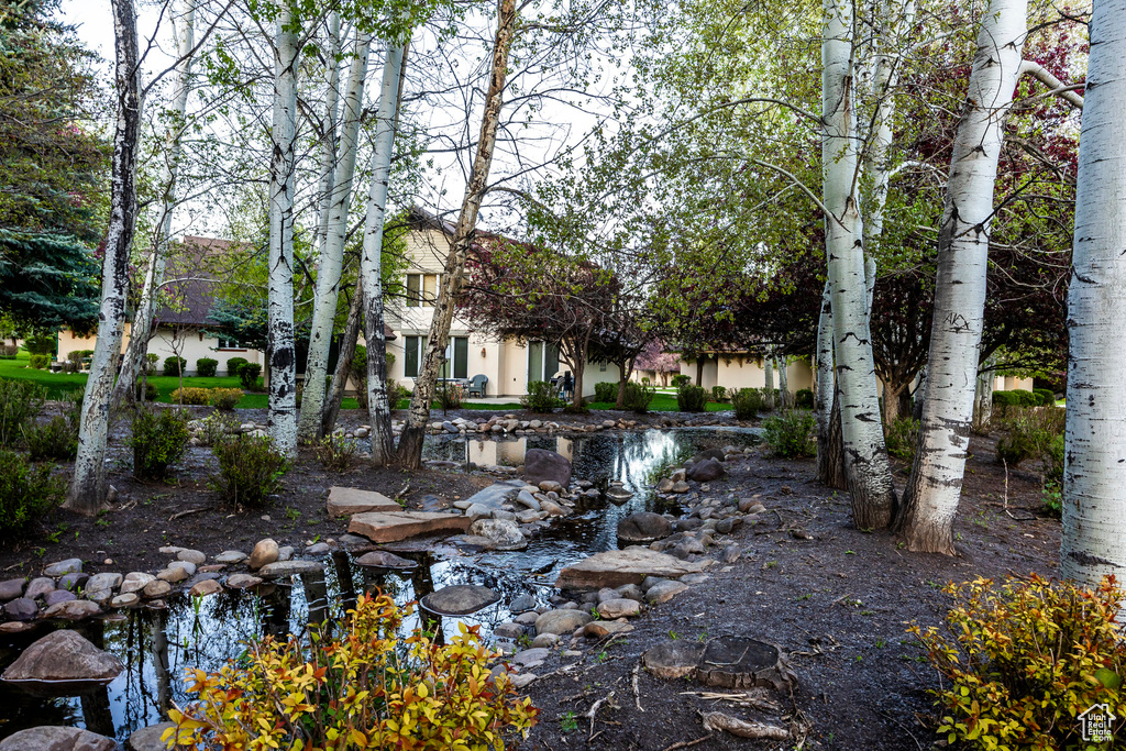 View of yard with a garden pond