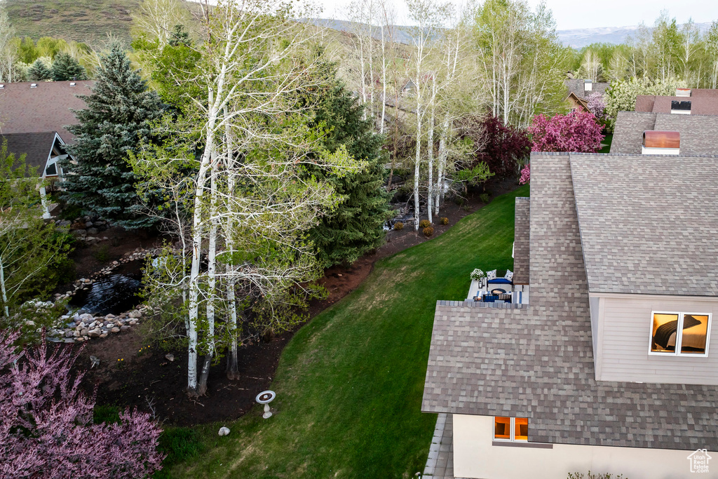 View of green lawn