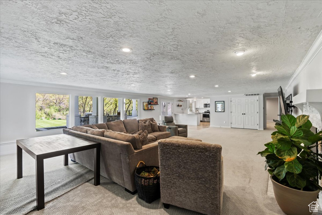Living area with light carpet, crown molding, recessed lighting, baseboards, and a textured ceiling
