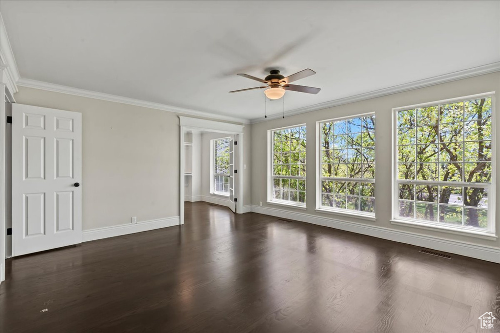Spare room featuring baseboards, a ceiling fan, healthy amount of natural light, crown molding, and dark wood-type flooring