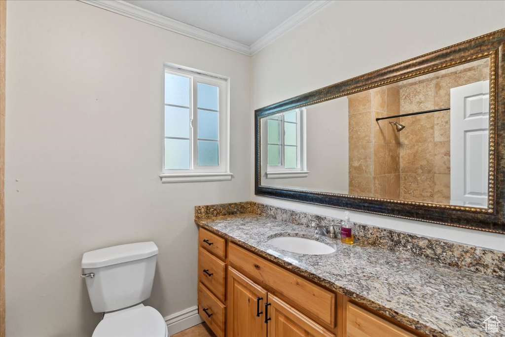 Full bathroom featuring toilet, vanity, ornamental molding, and tiled shower