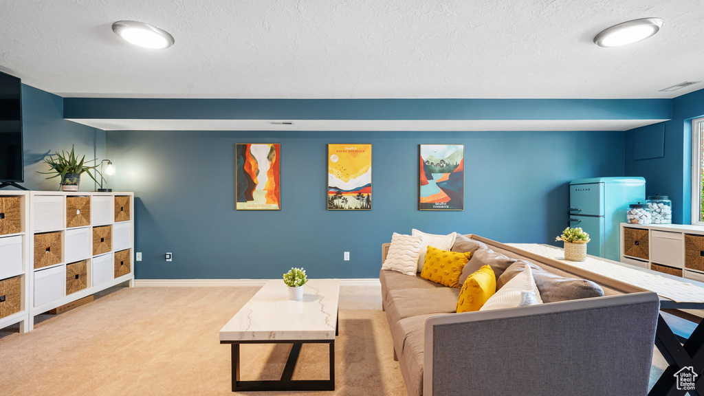 Living area with a textured ceiling, carpet, and baseboards