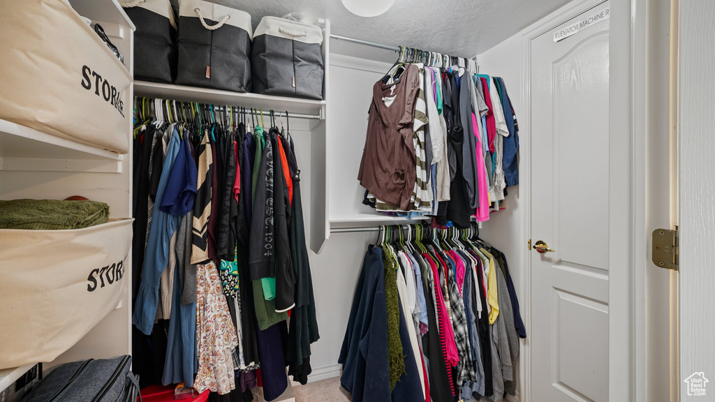 View of walk in closet