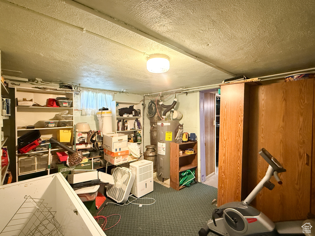 Storage featuring water heater