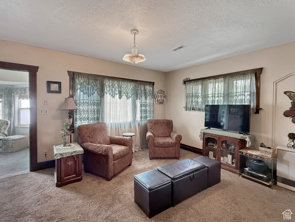 Living room featuring light carpet, a textured ceiling, and baseboards