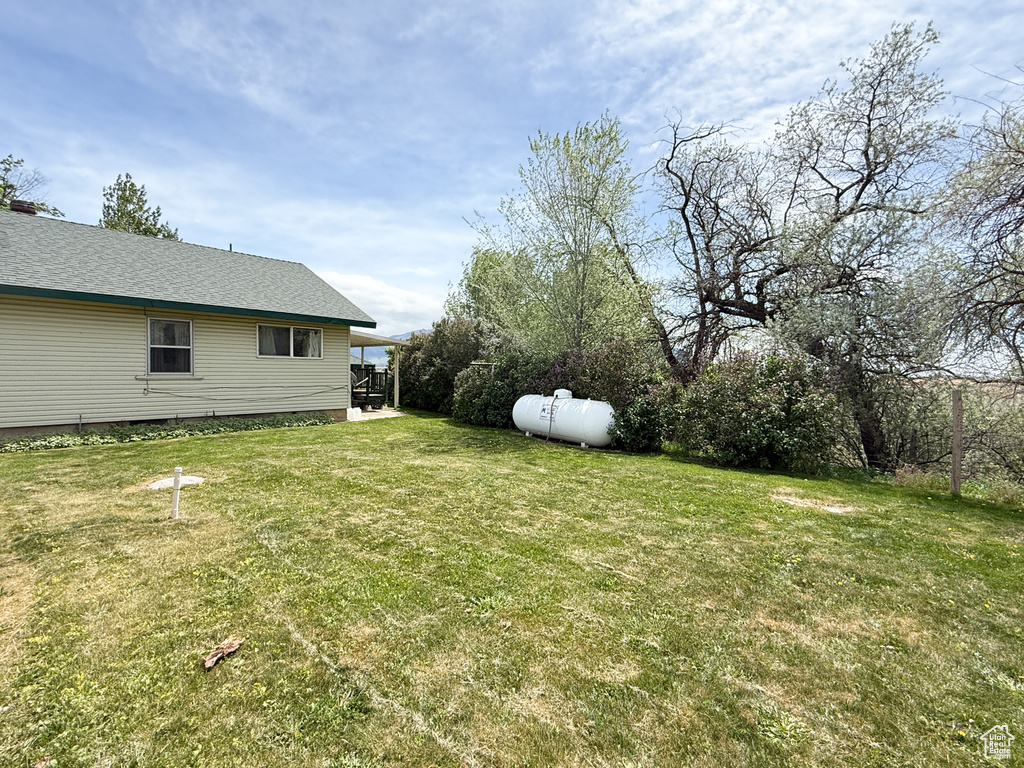 View of grassy yard