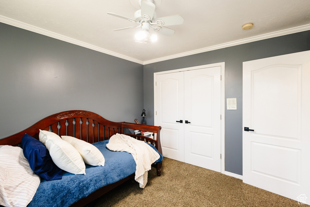 Carpeted bedroom featuring ornamental molding, a closet, ceiling fan, and baseboards