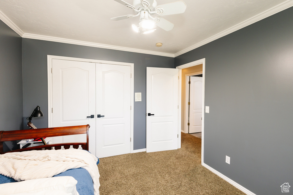 Bedroom featuring carpet flooring, a closet, crown molding, baseboards, and a ceiling fan