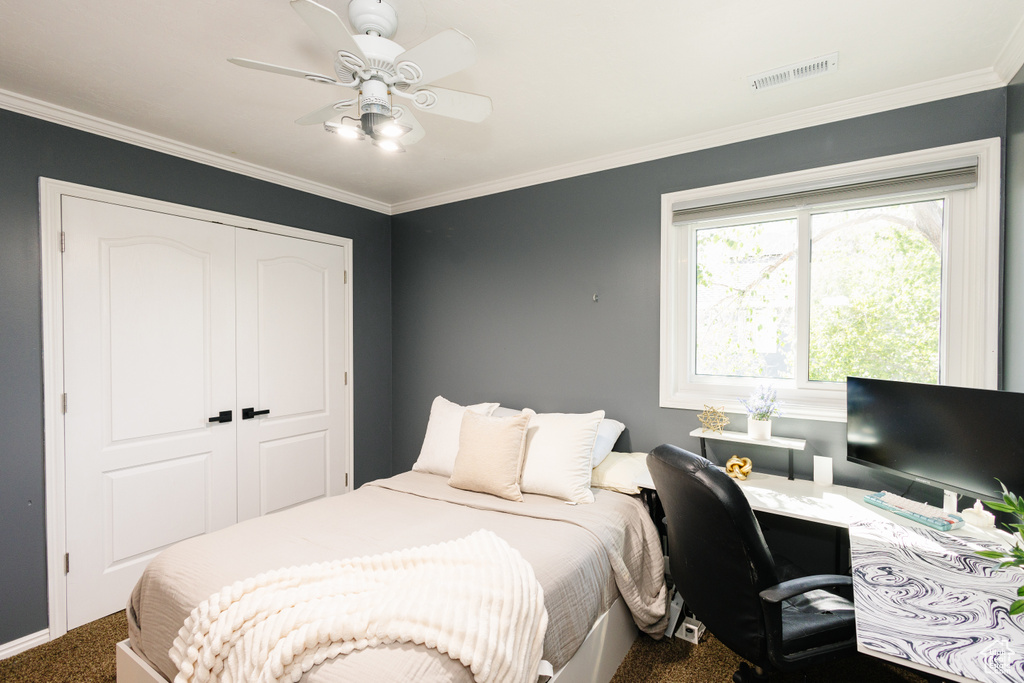 Bedroom with carpet flooring, a closet, crown molding, and a ceiling fan
