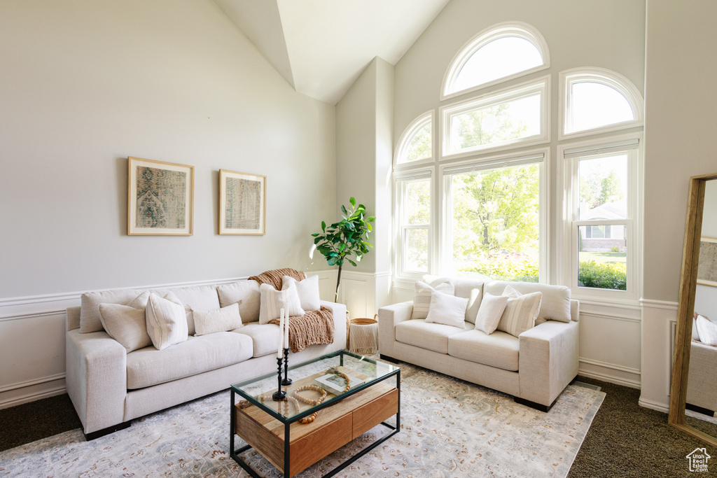 Living room featuring high vaulted ceiling, wainscoting, a decorative wall, and carpet