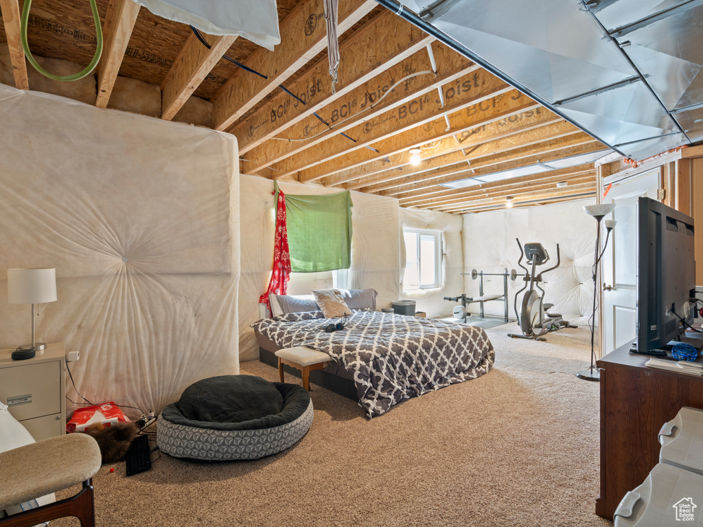 Bedroom with carpet floors