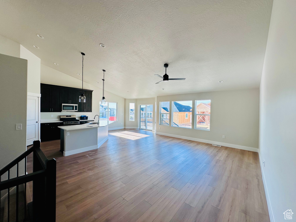 Kitchen with appliances with stainless steel finishes, open floor plan, dark cabinets, light wood-type flooring, and ceiling fan