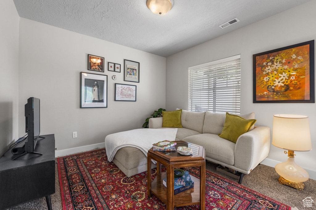 Living area with carpet, a textured ceiling, and baseboards