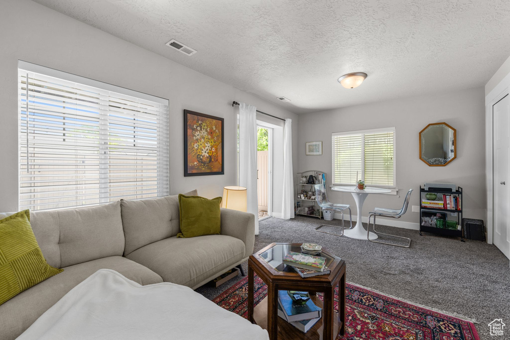 Living area with carpet flooring, a textured ceiling, and baseboards