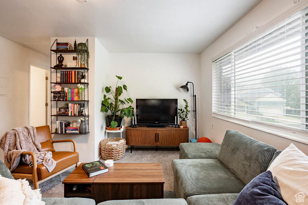 View of carpeted living area