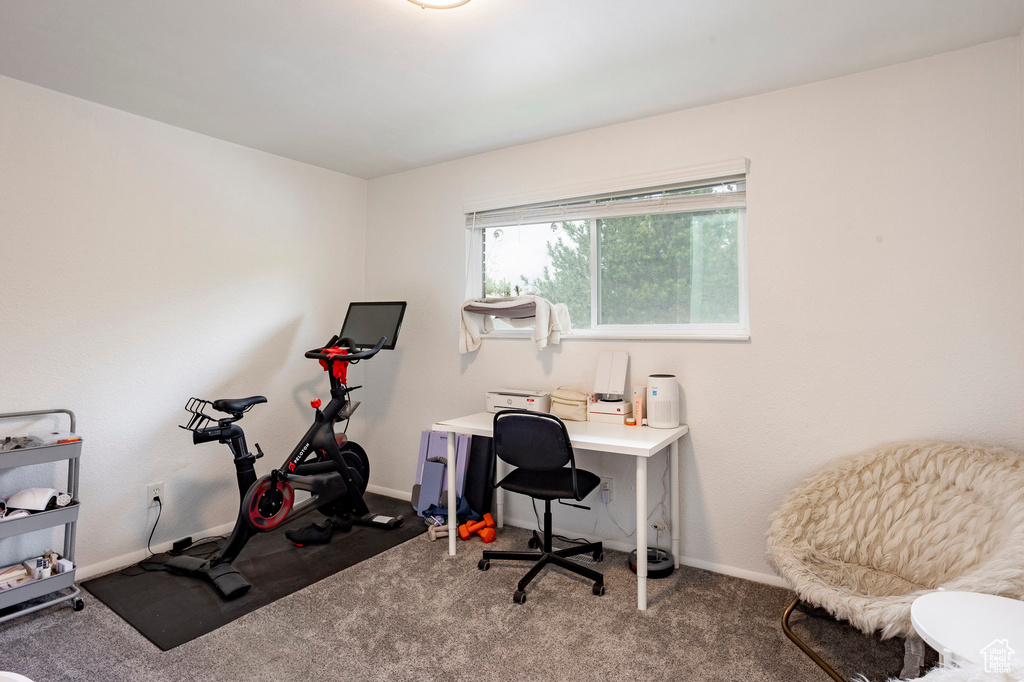 Office with carpet and baseboards
