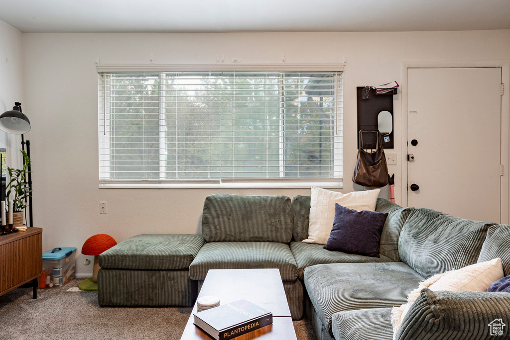 View of carpeted living room