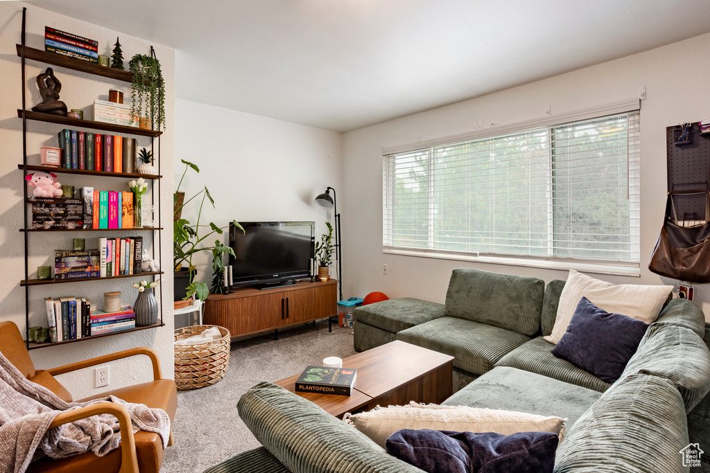 Living area with carpet