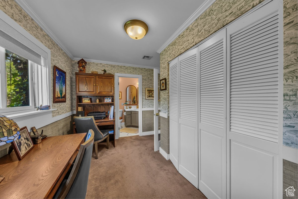 Office with wallpapered walls, light colored carpet, a wainscoted wall, and ornamental molding