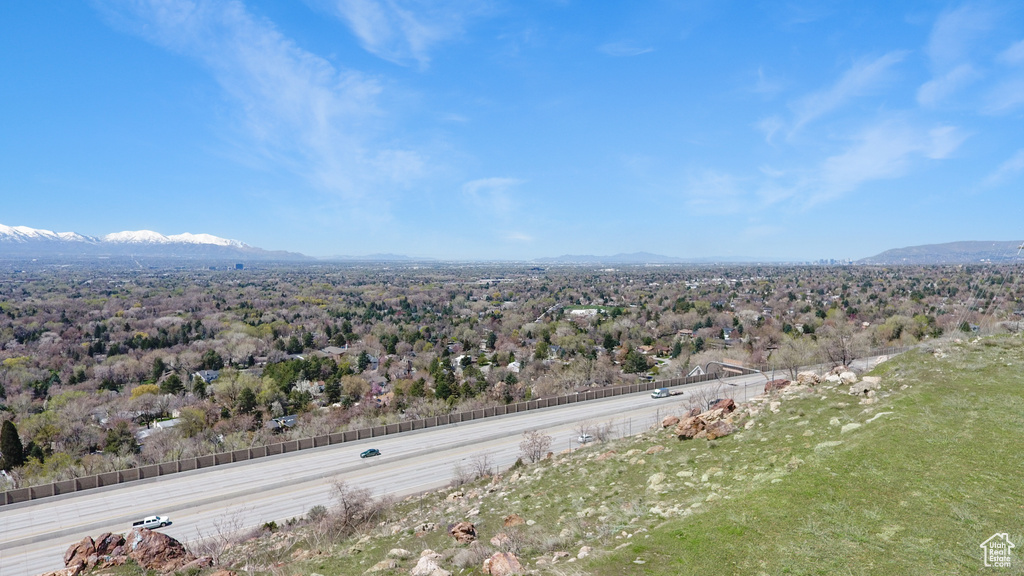 Bird's eye view of mountains