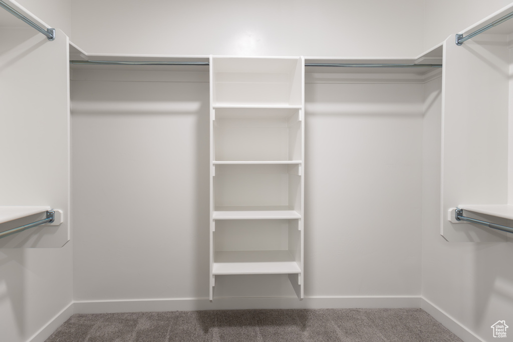 Spacious closet featuring carpet flooring