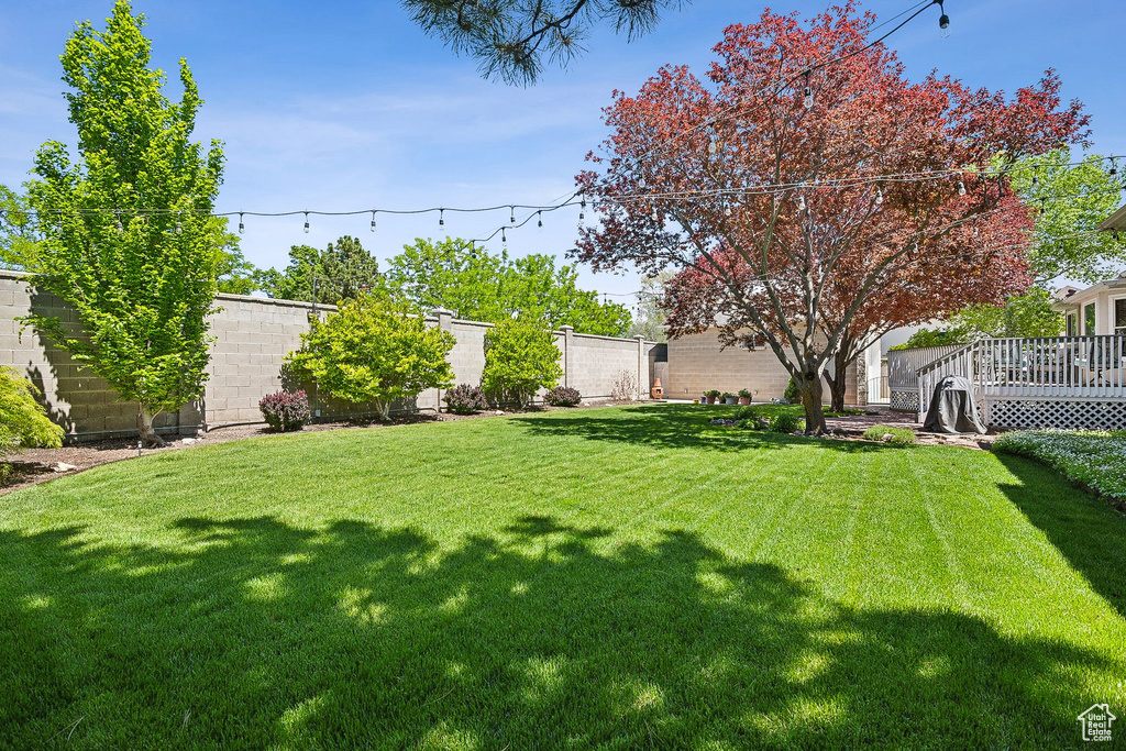 View of yard with a deck