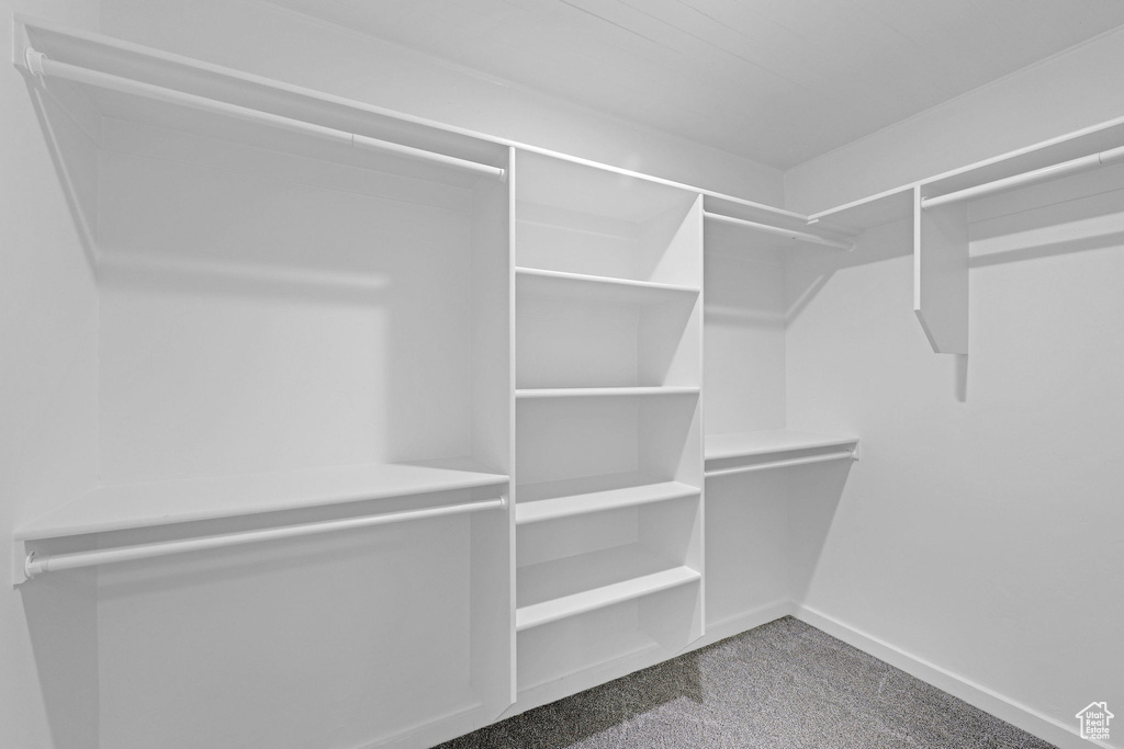 Walk in closet with carpet floors
